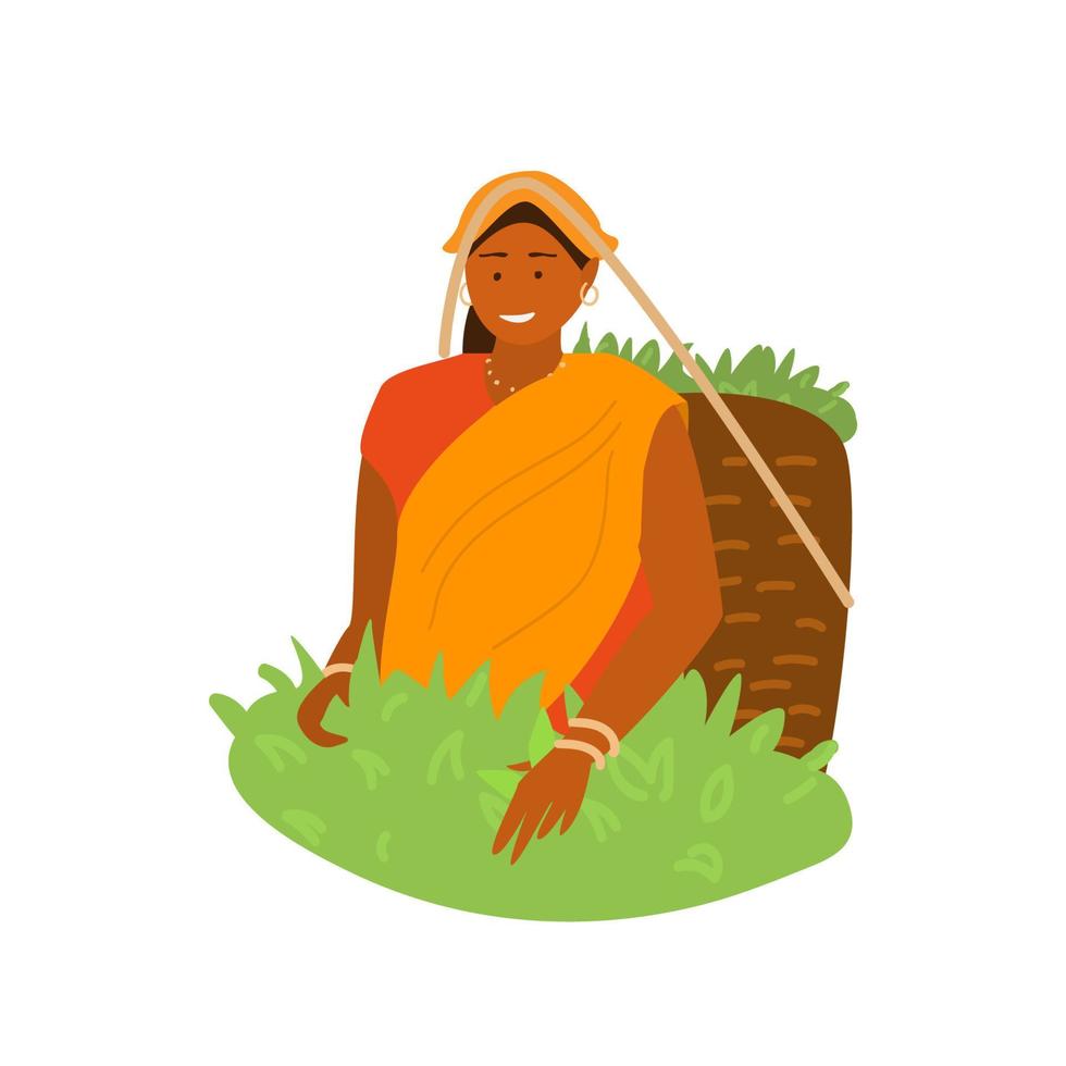 ilustración vectorial de una joven sonriente aldeana india con vestido tradicional recogiendo hojas de té en una cesta de mimbre en una plantación de té. agricultura tradicional. plano. vector