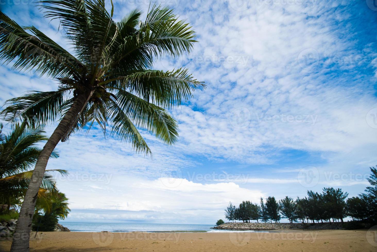 Tropical sand beach photo