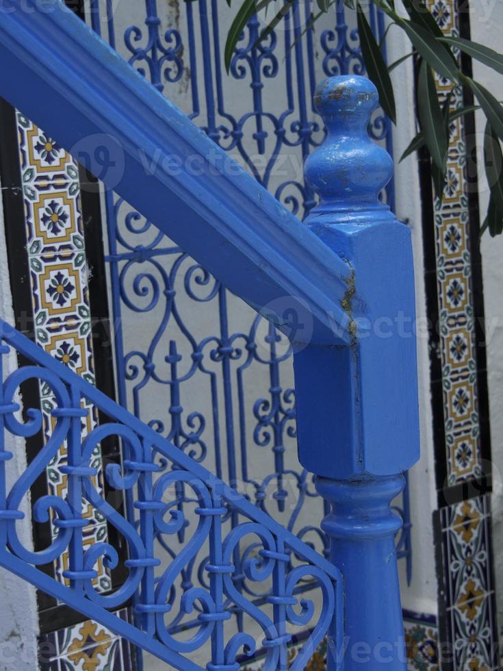 the city of tunis in tunisia photo