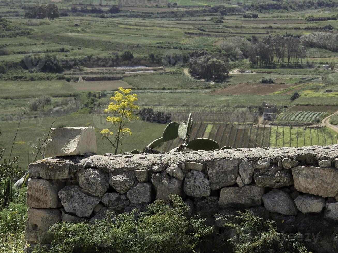 the island of gozo on the mediterranean sea photo