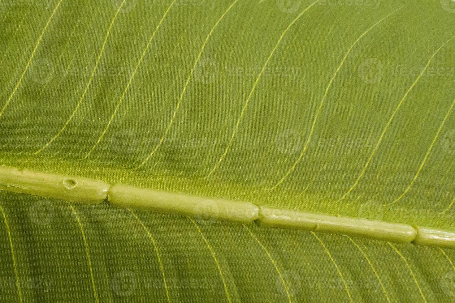 the texture of an artificial plant leaf photo