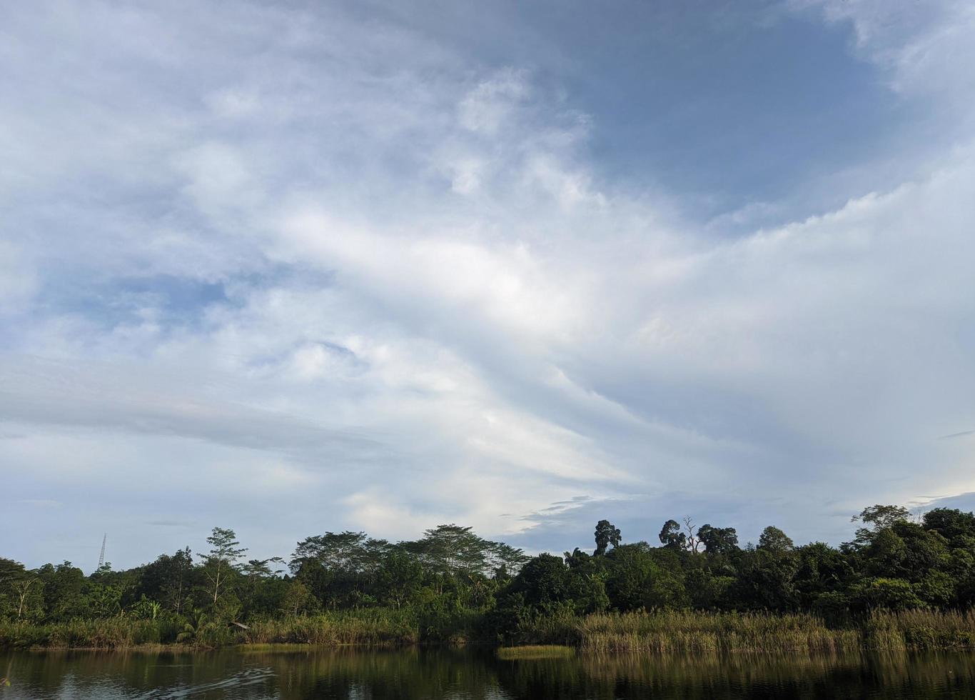 scenery, lake and forest photo