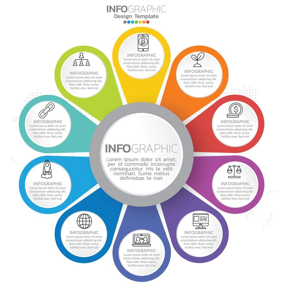 Infographic template with steps and process for your design. vector