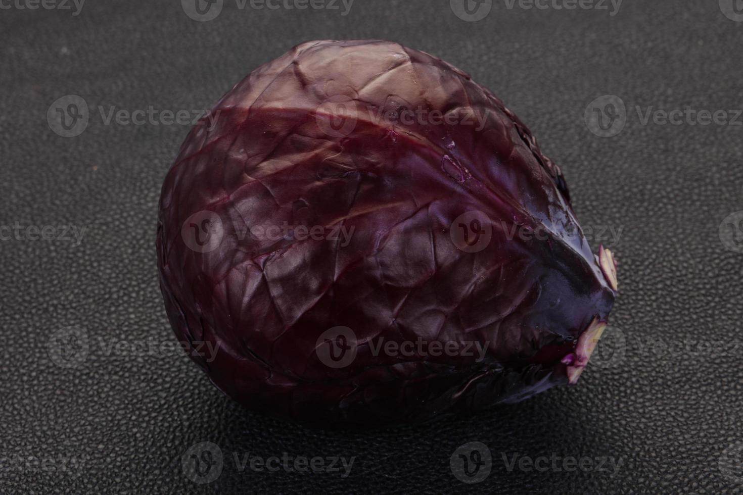 Red bright cabbage photo