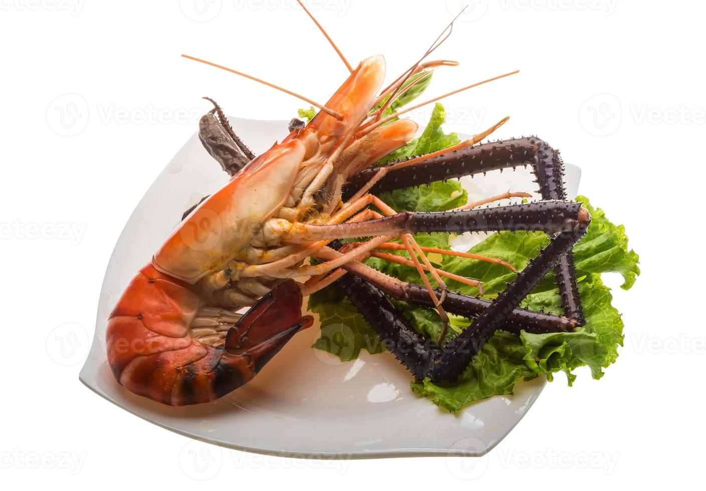 Giant Freshwater Prawn photo