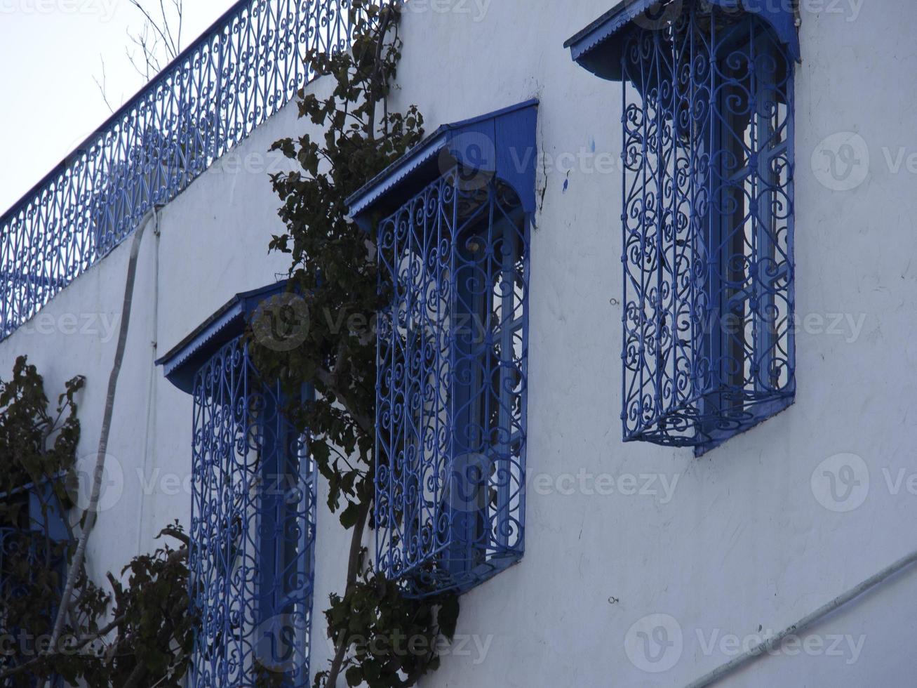 the city of tunis in tunisia photo