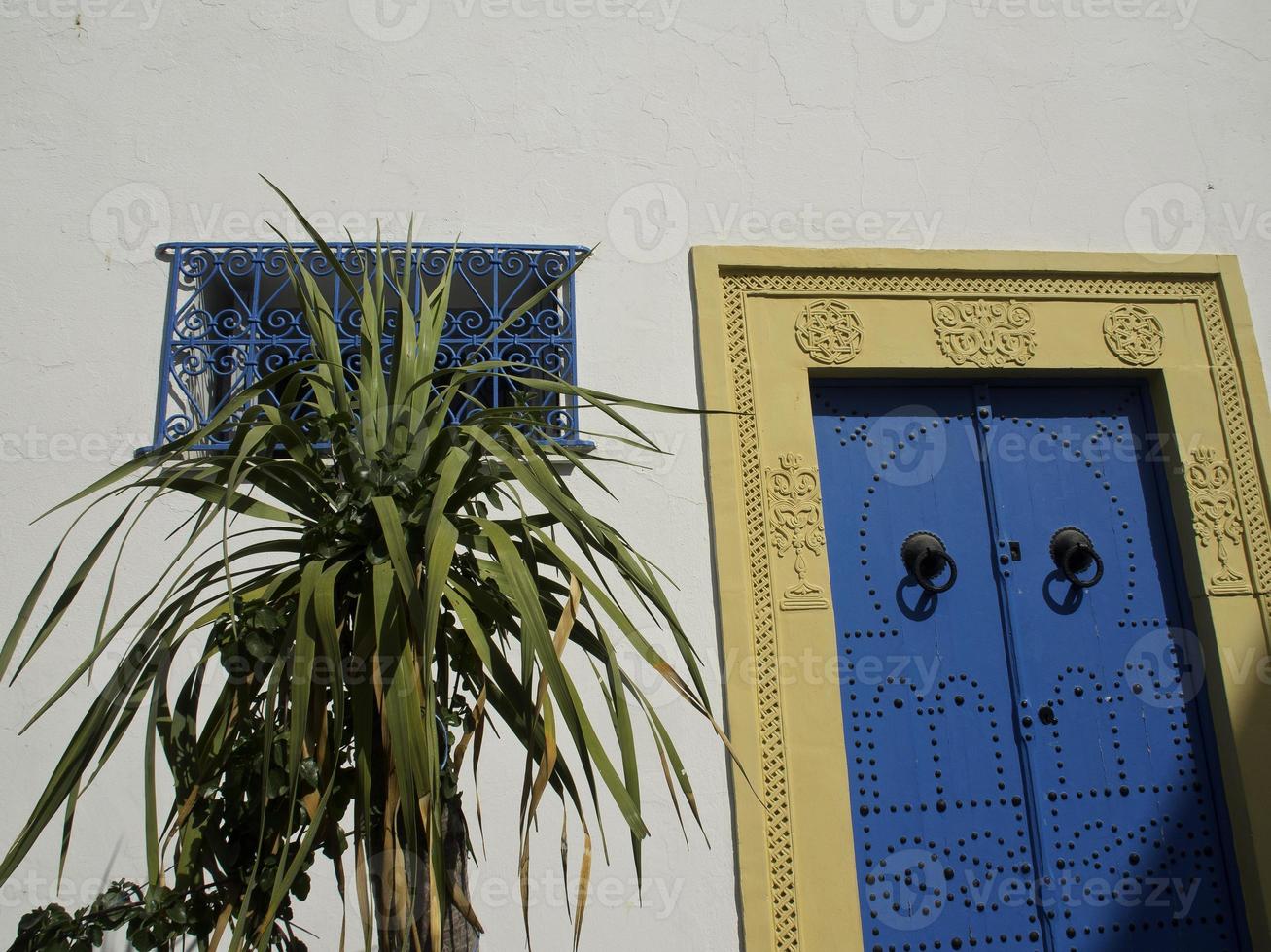 the city of tunis in tunisia photo
