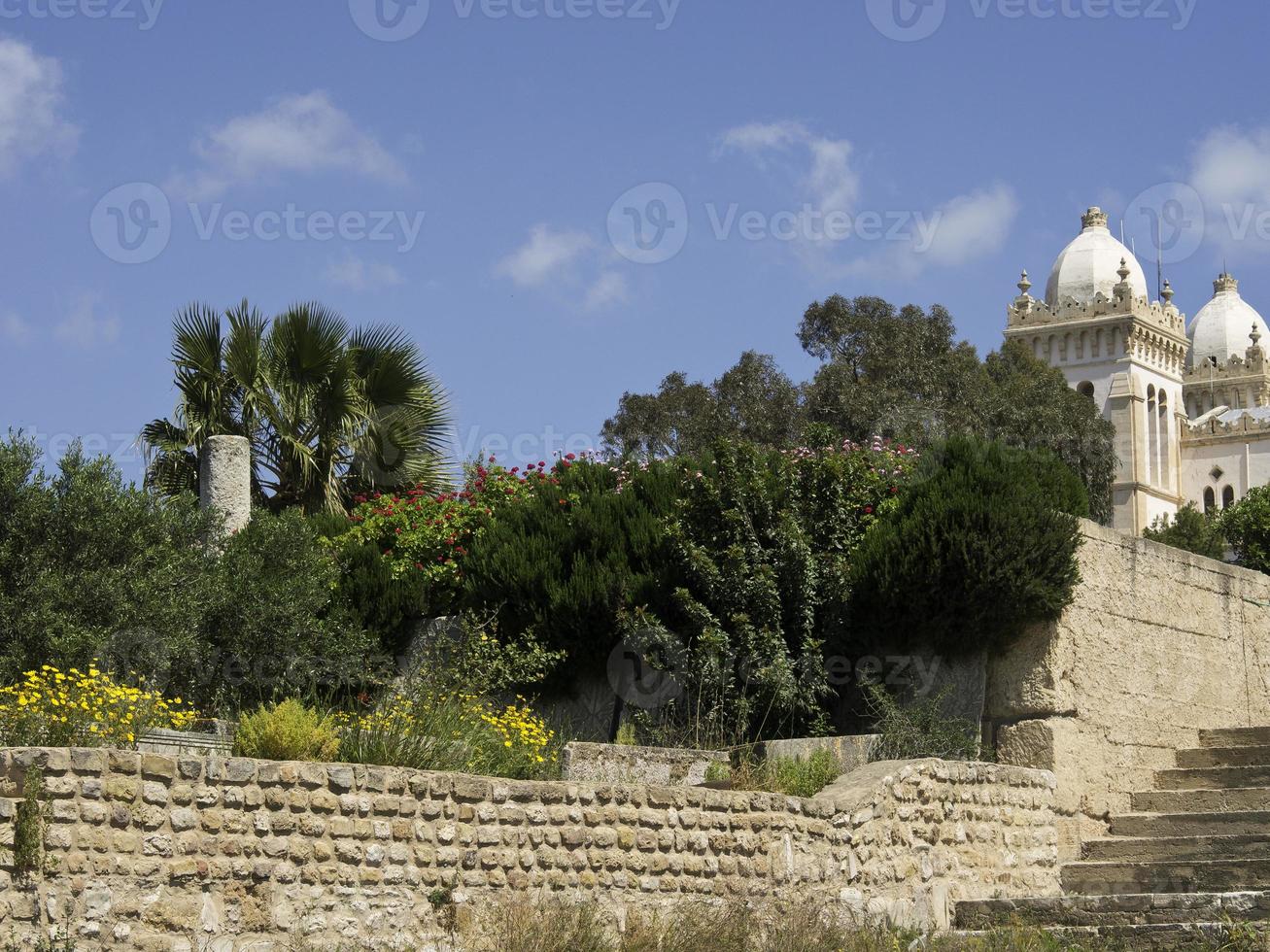 the city of tunis in tunisia photo