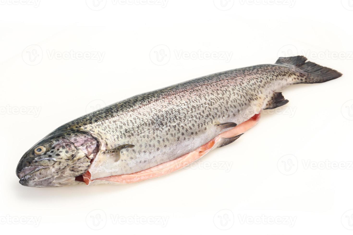 Raw trout fish isolated on white photo