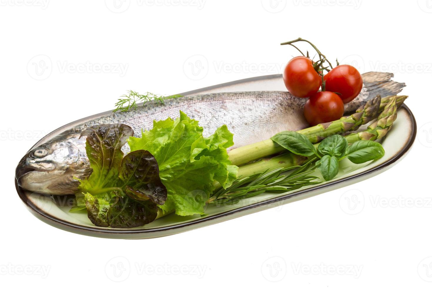 Fresh raw rainbow trout photo