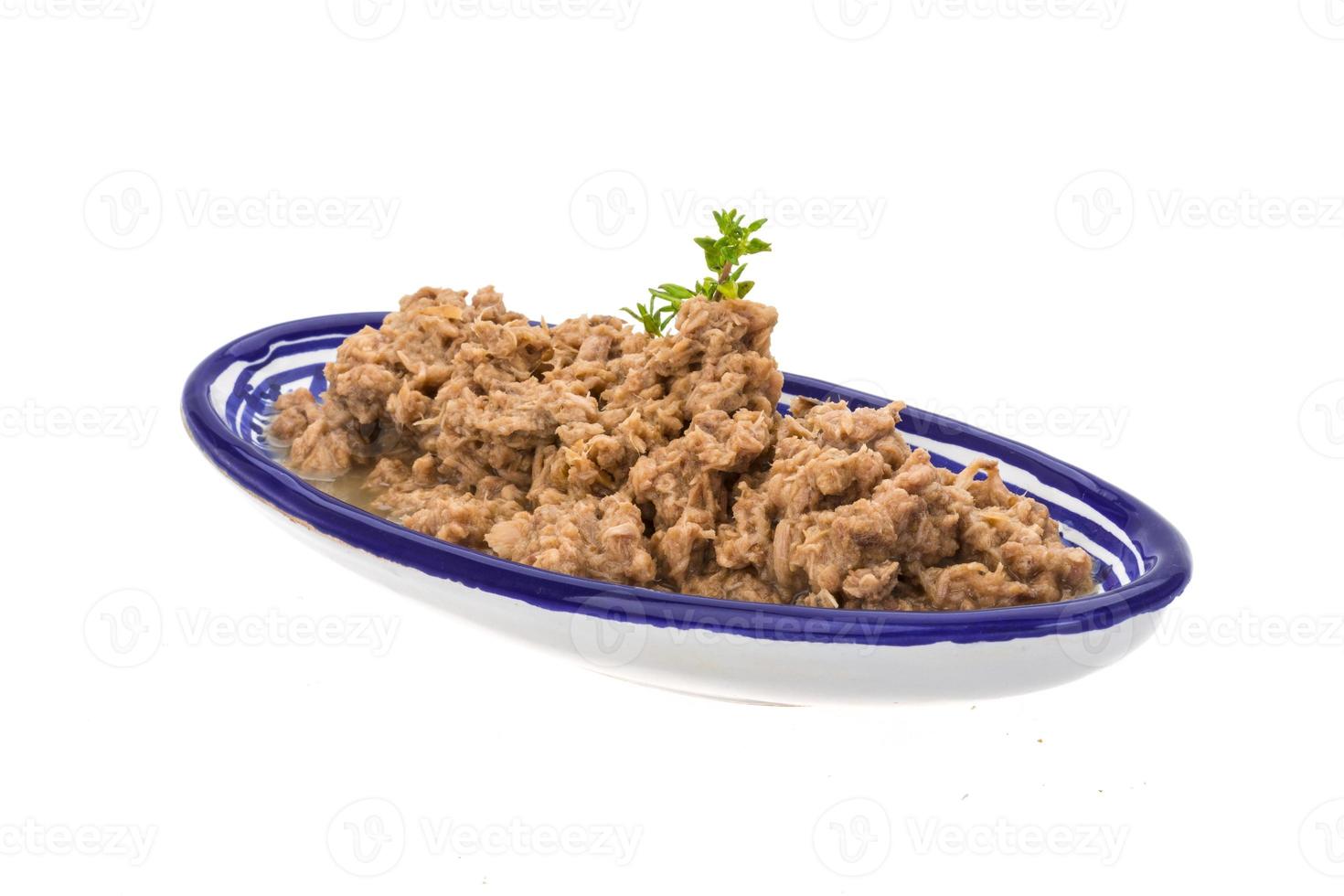 Canned Tuna fillet photo