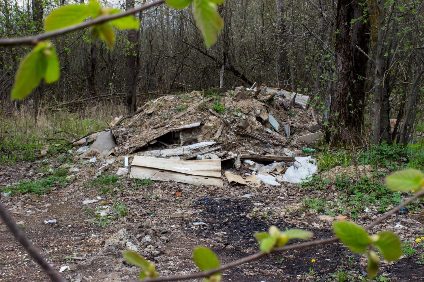 Garbage dump in the forest near the road photo