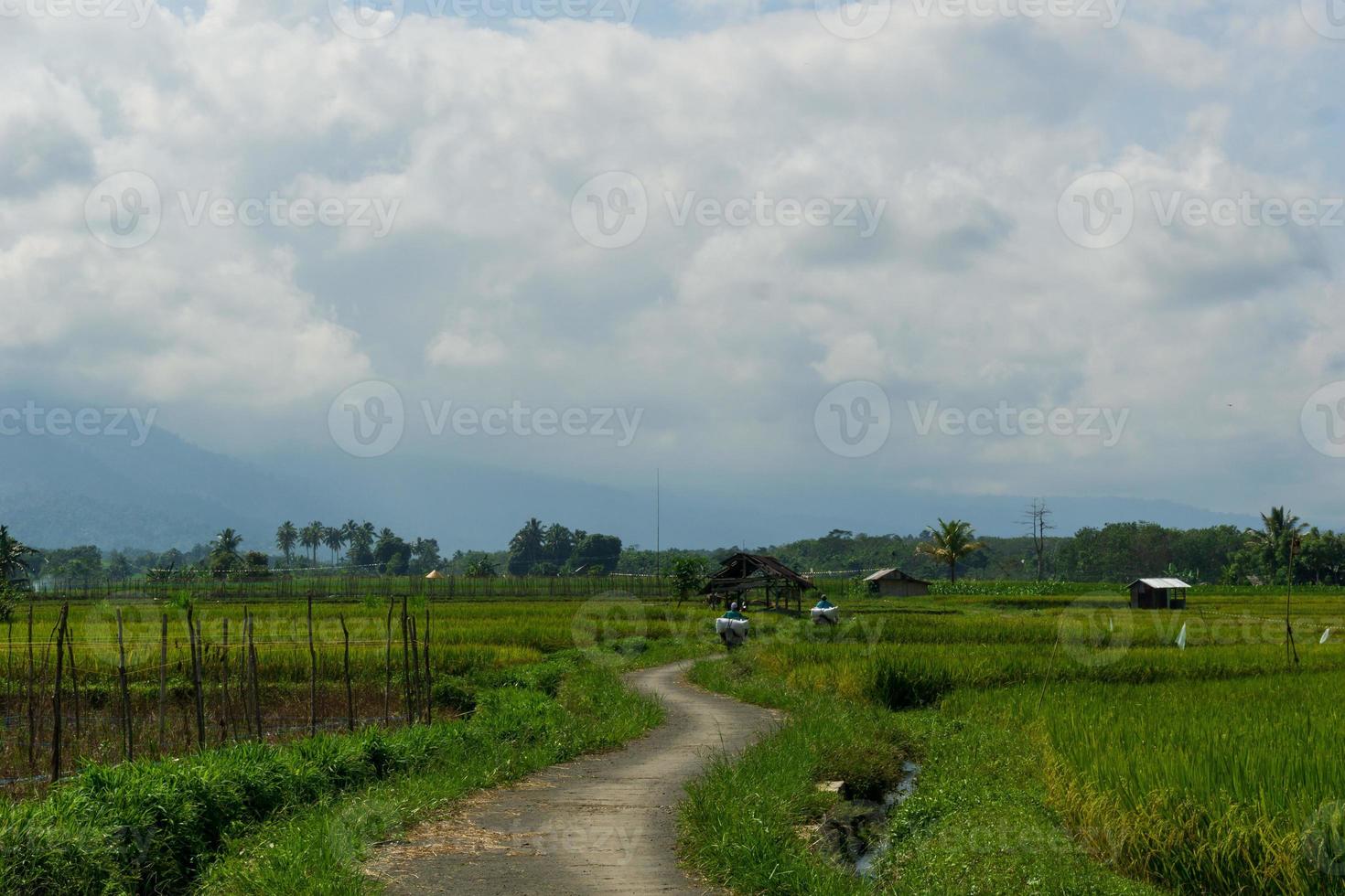 Infraestructura vial rural en el sector agrícola y de campos de arroz en Indonesia. foto