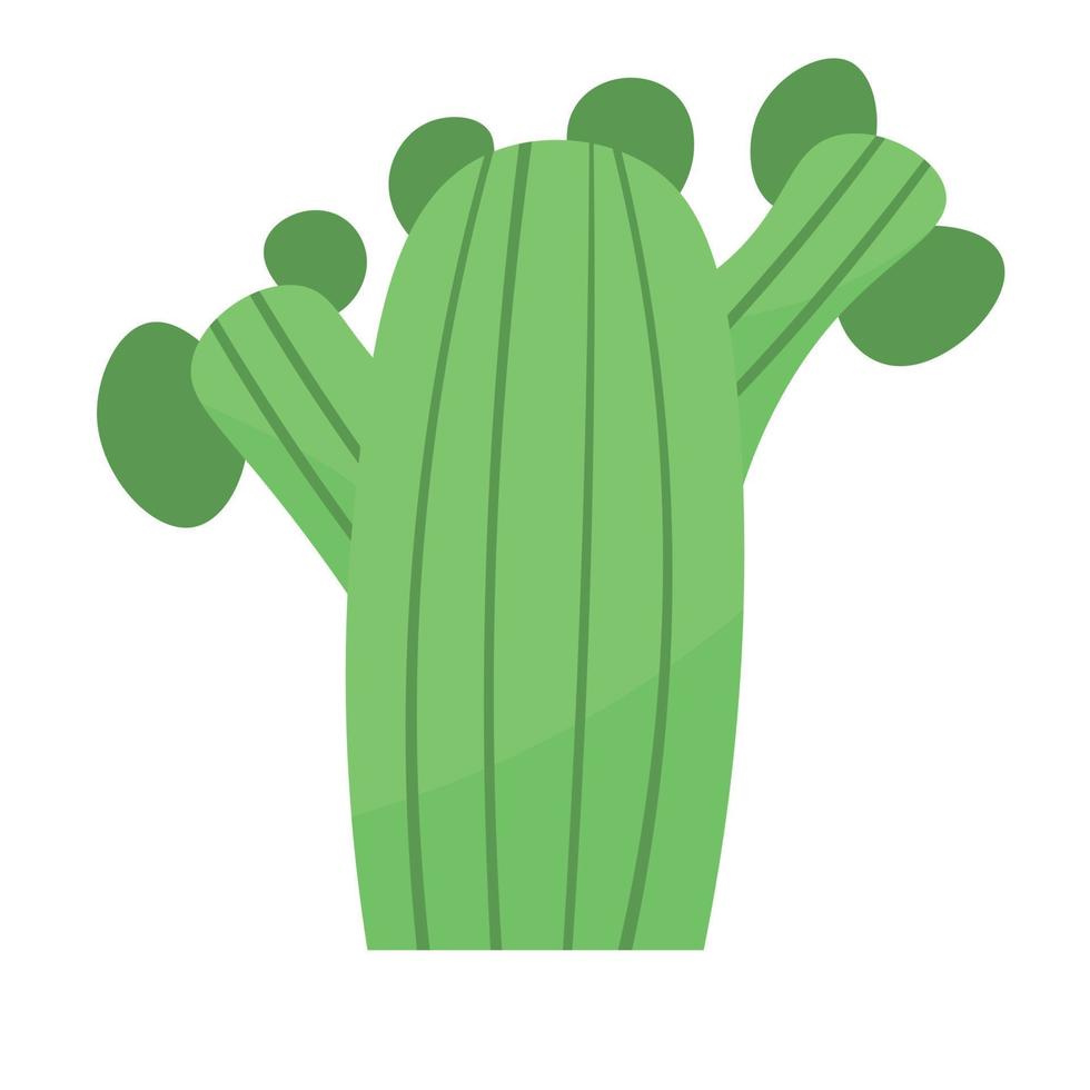 lindo cactus o suculento, ilustración de dibujos animados vectoriales en estilo plano vector