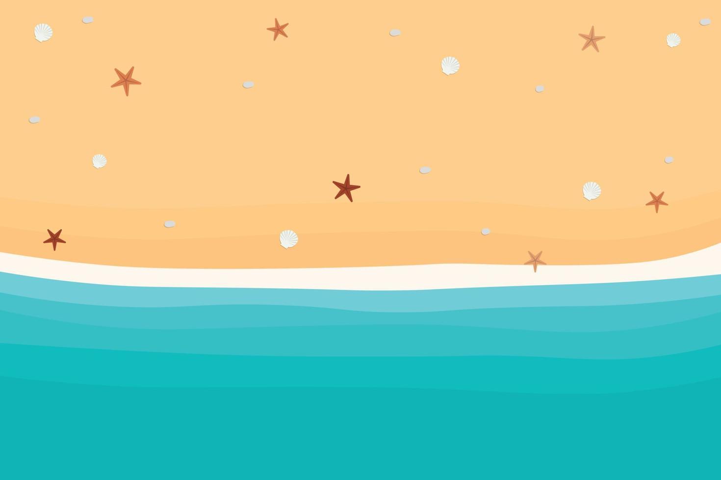 top view of sand with shells and starfish in flat icon design on beach background. vector illustration