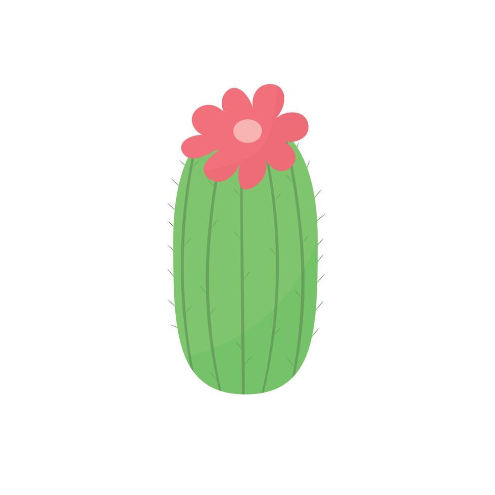 cute cactus or succulent with flowers, vector cartoon illustration in flat style