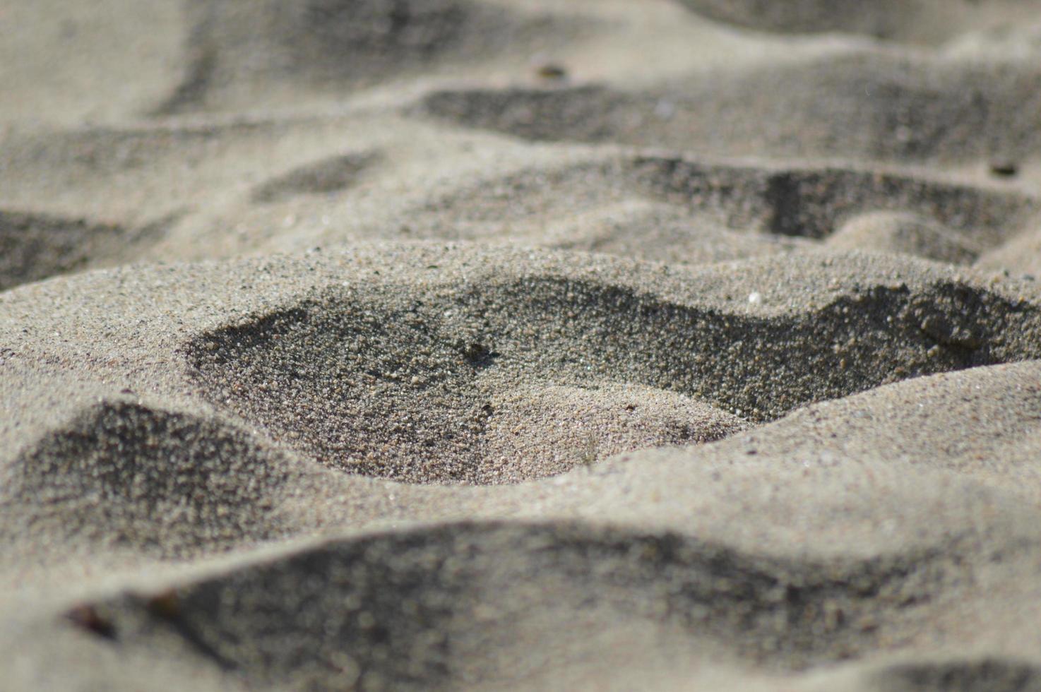 On the Beach photo