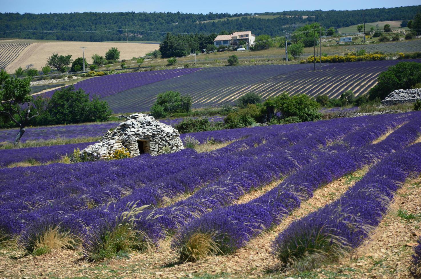 borie en el sur de francia foto