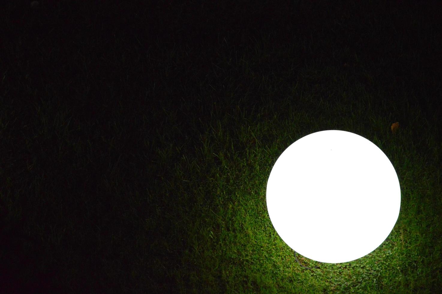 una bola de luz en un jardín foto