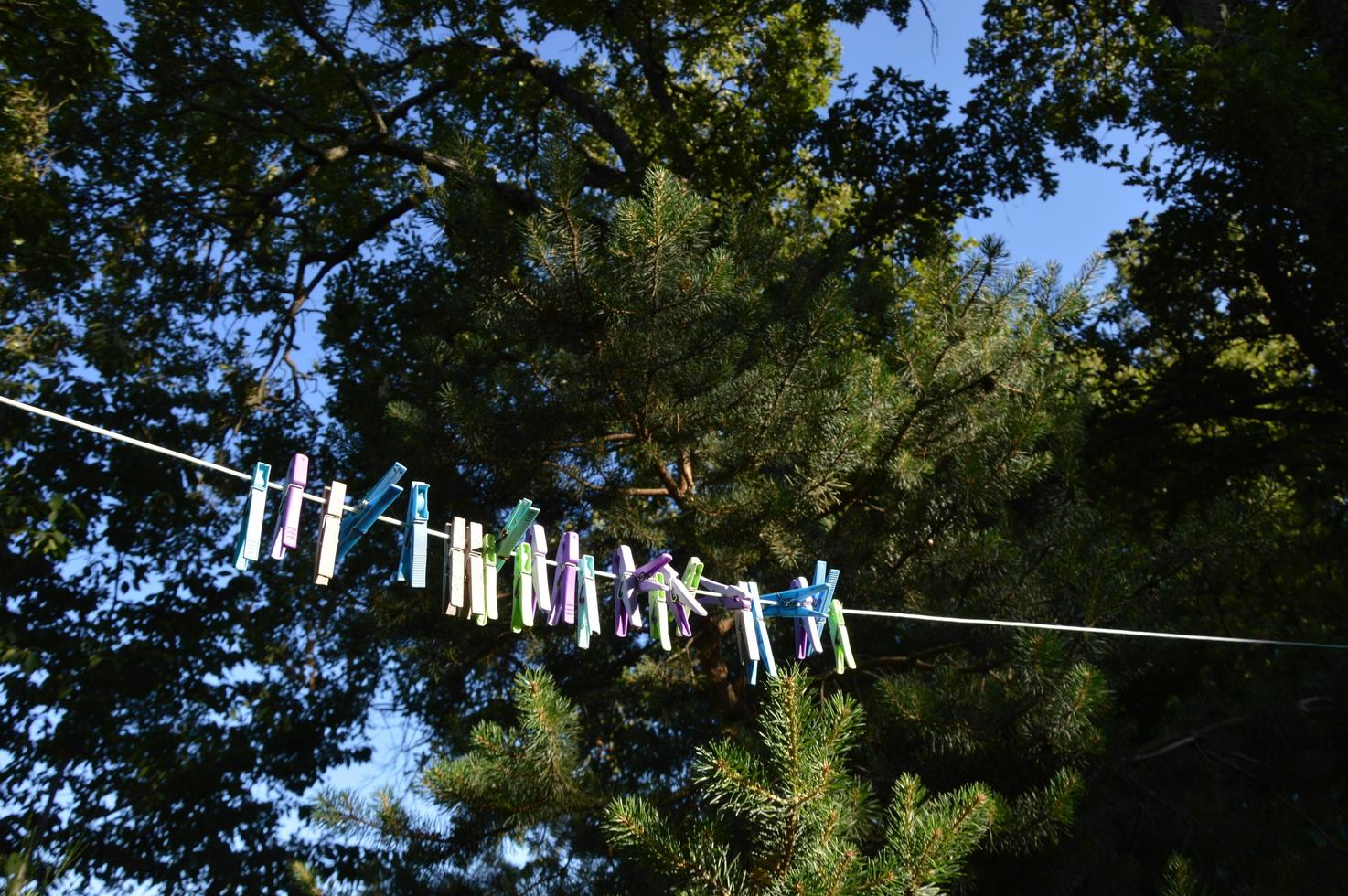 pinzas para la ropa afuera en el tendedero foto