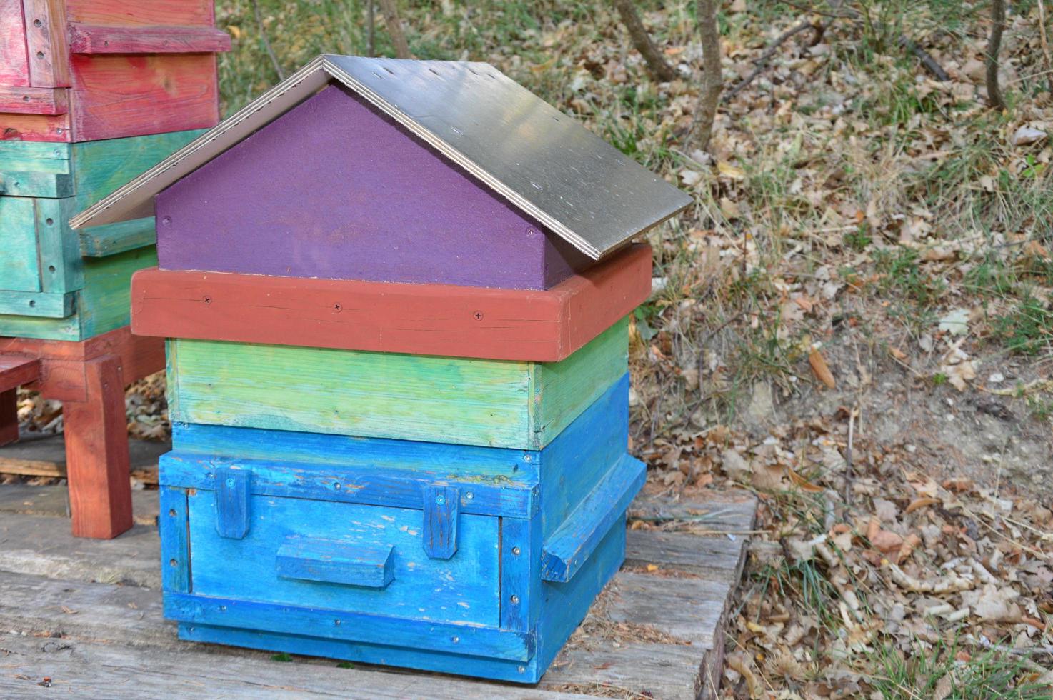 A colorful beehive photo
