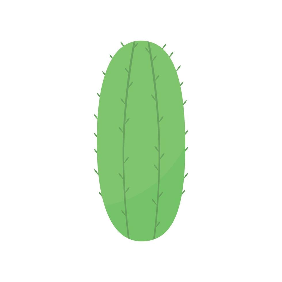 cute cactus or succulent, vector cartoon illustration in flat style
