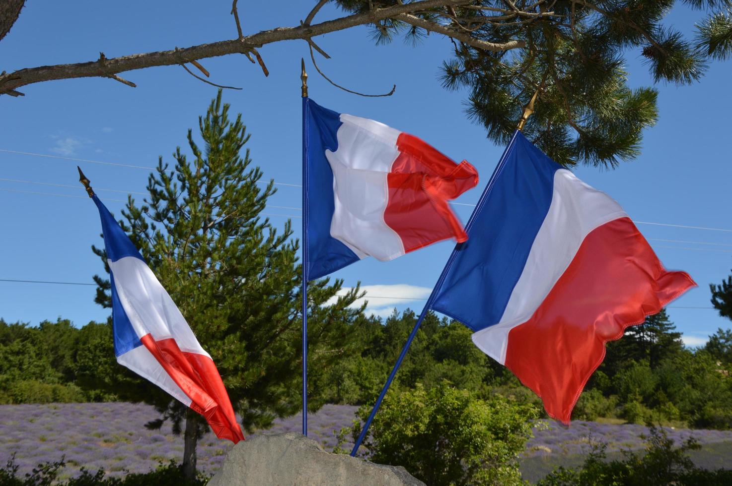 bandera francesa en el viento foto