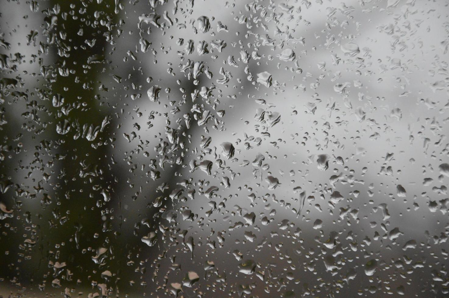 Rain drops on the window photo