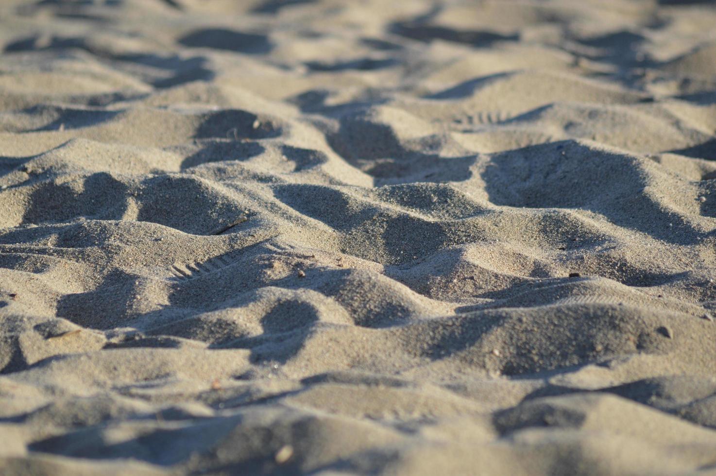 On the Beach photo