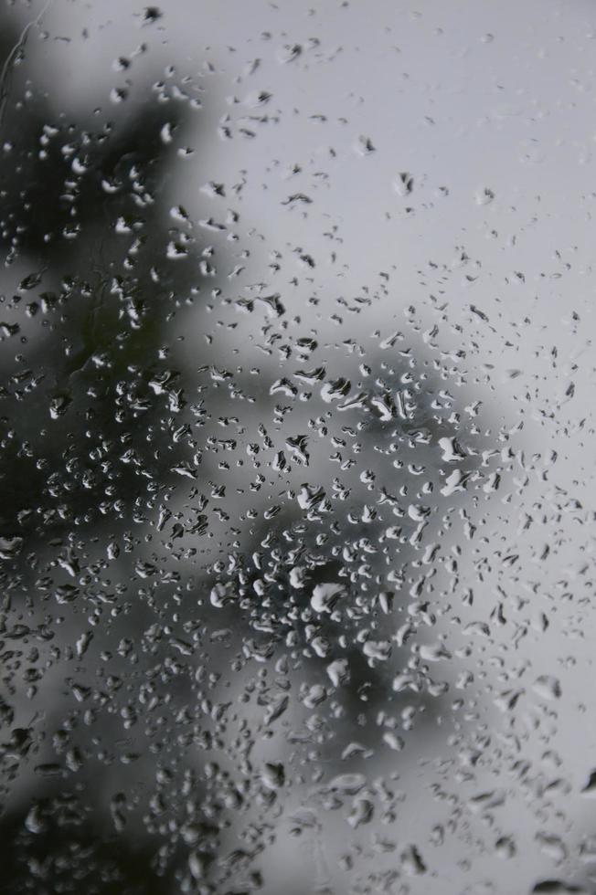 Rain drops on the window photo