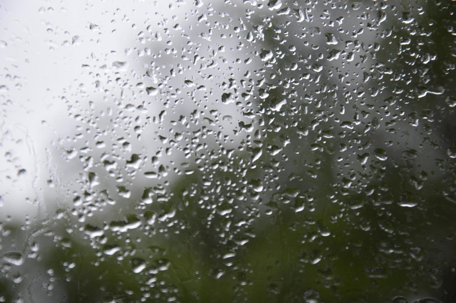 Rain drops on the window photo