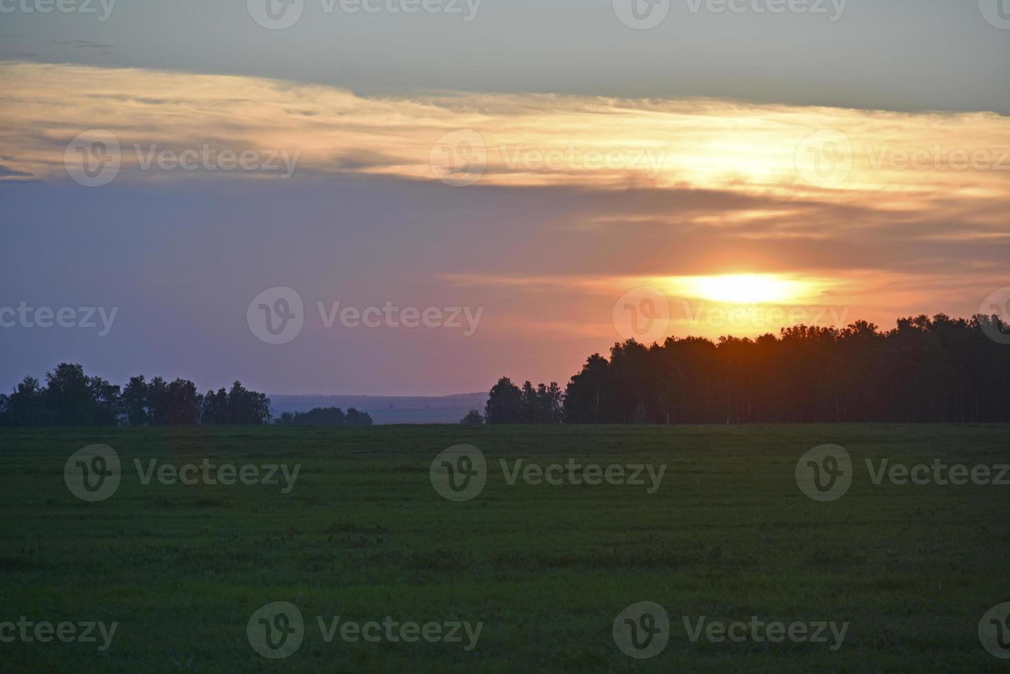 Sunset evening in the forest blue and pink clouds and forest photo