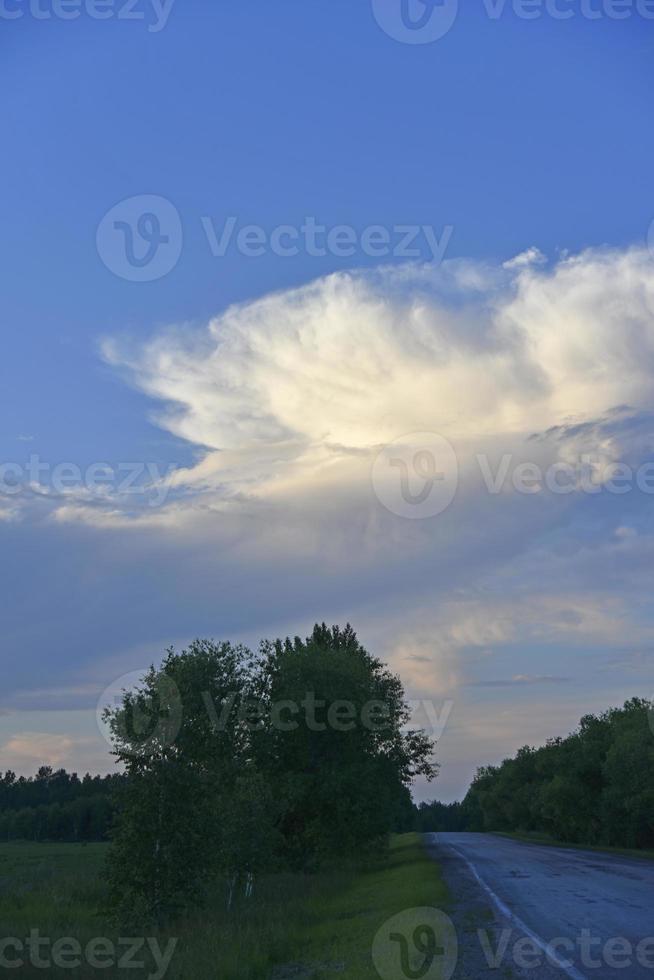 Sunset evening in the forest blue and pink clouds and forest photo