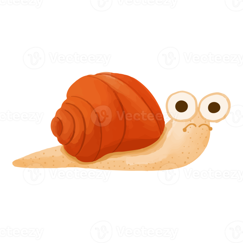Watercolor Snail, Hand painted Animal decoration clipart png