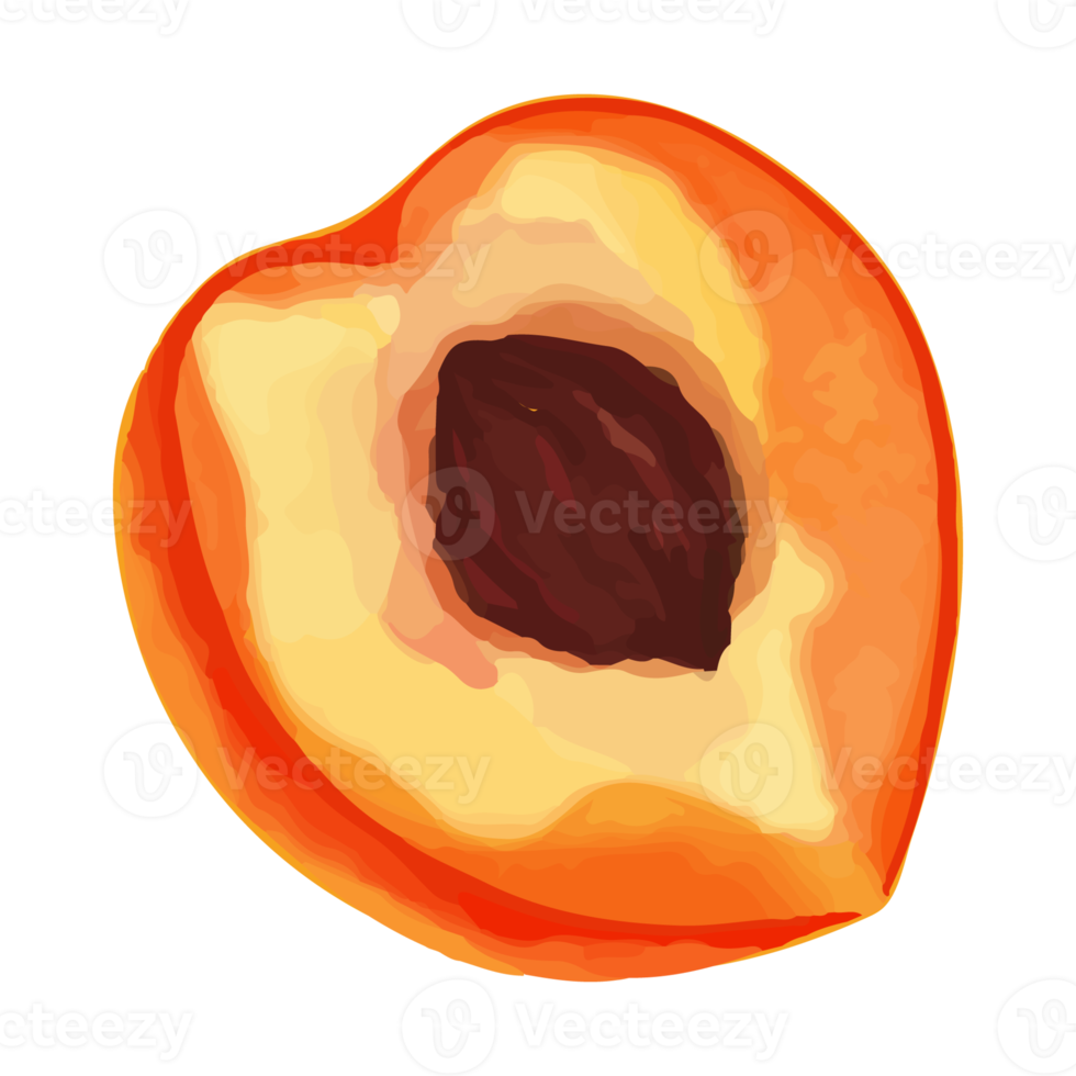 Watercolor Peach, Hand painted fruit clipart png