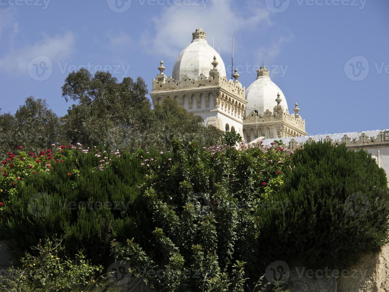 the city of tunis in tunisia photo