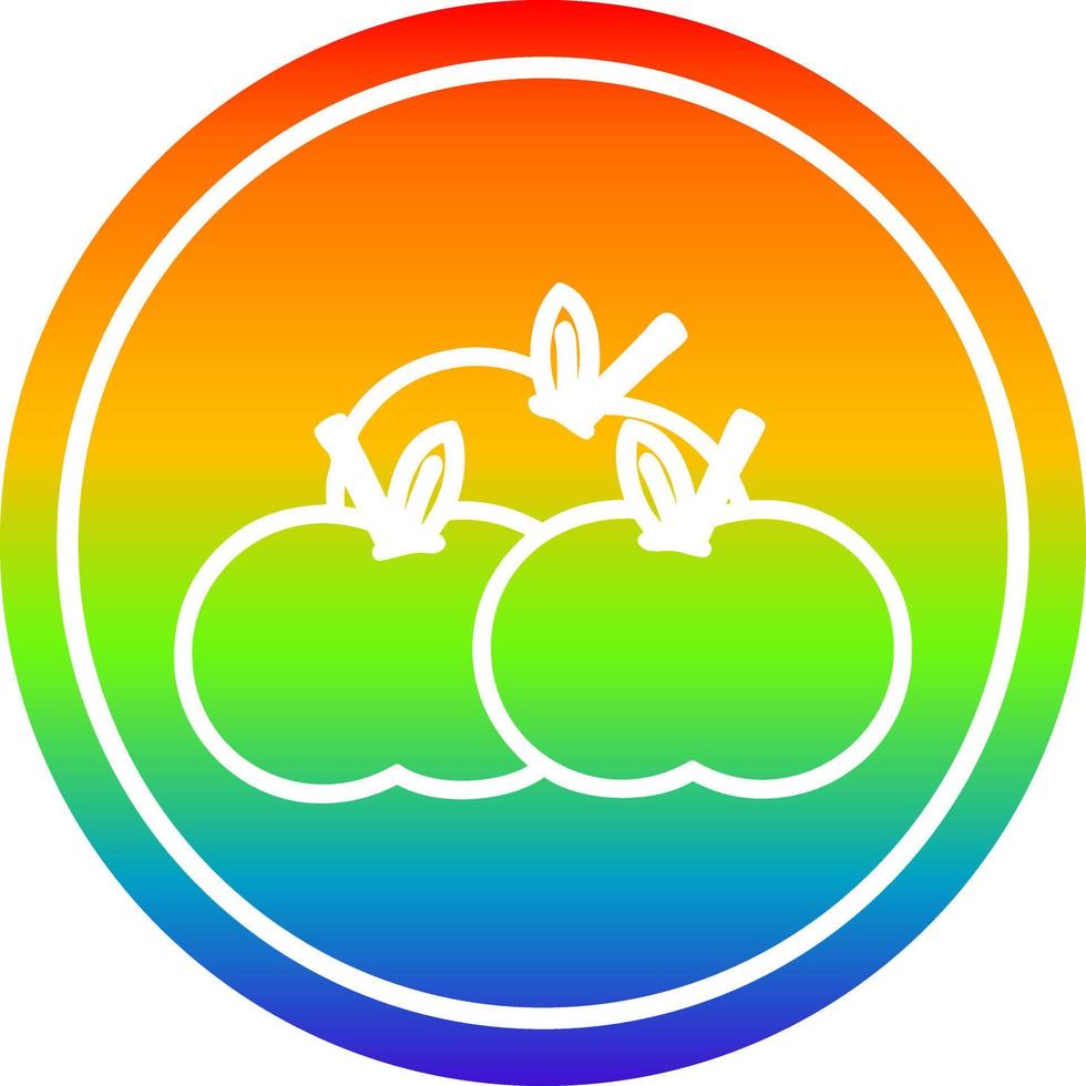 pile of apples circular in rainbow spectrum vector