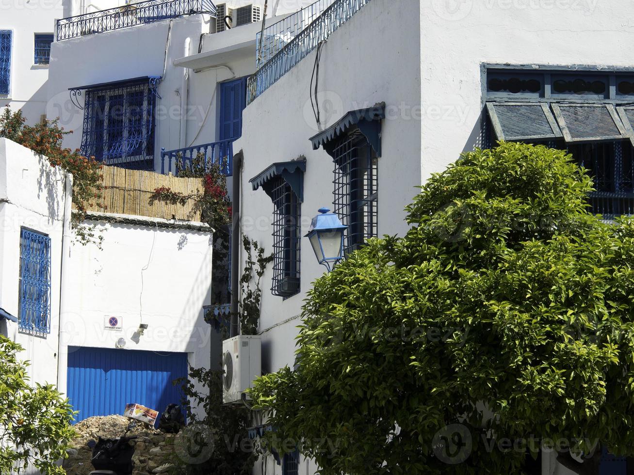 the city of tunis in tunisia photo