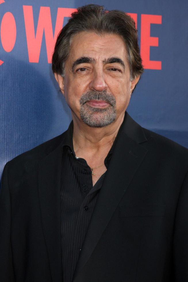 los angeles, 17 de julio - joe mantegna en la fiesta cbs tca de julio de 2014 en el pacific design center el 17 de julio de 2014 en west hollywood, ca foto