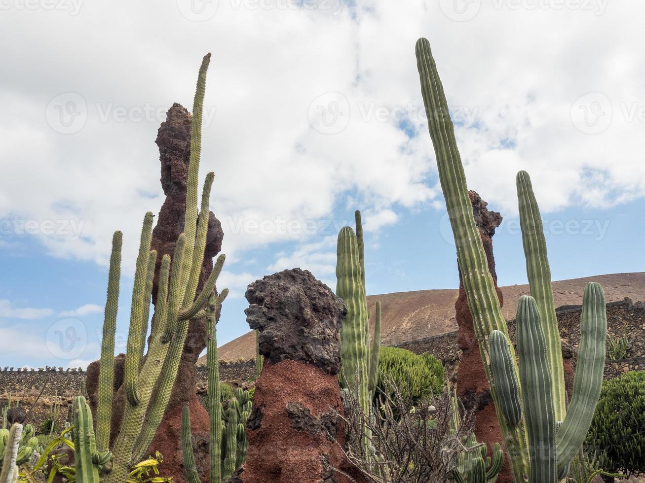 lanzarote island in spain photo