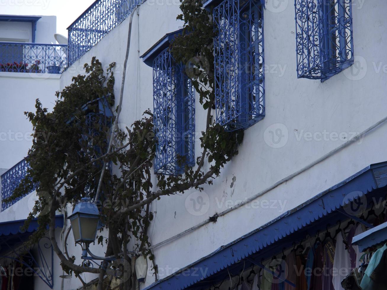 the city of tunis in tunisia photo