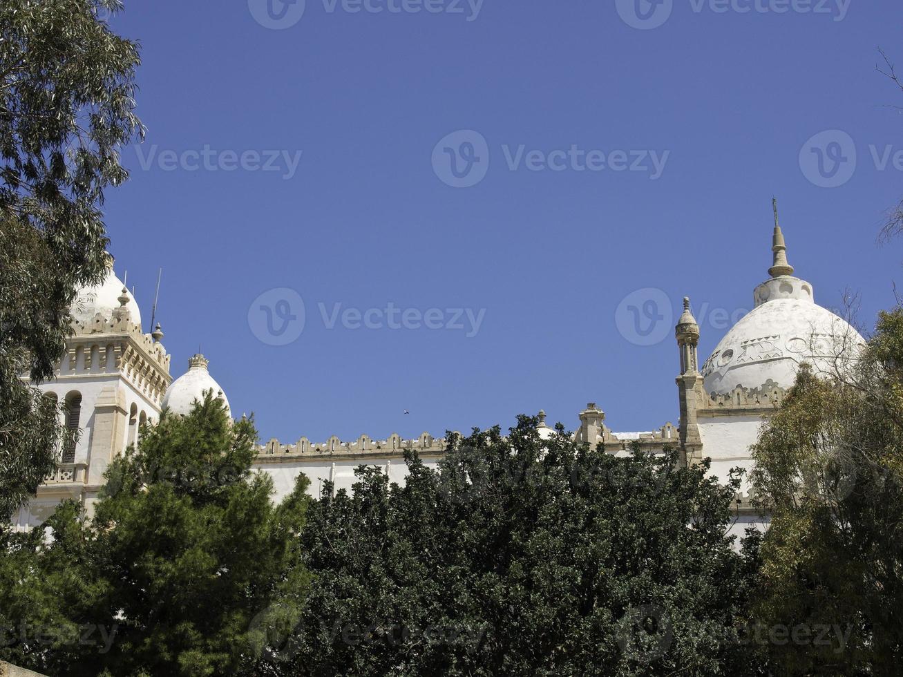 the city of tunis in tunisia photo