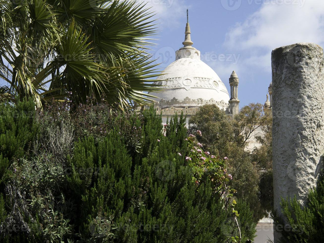 the city of tunis in tunisia photo