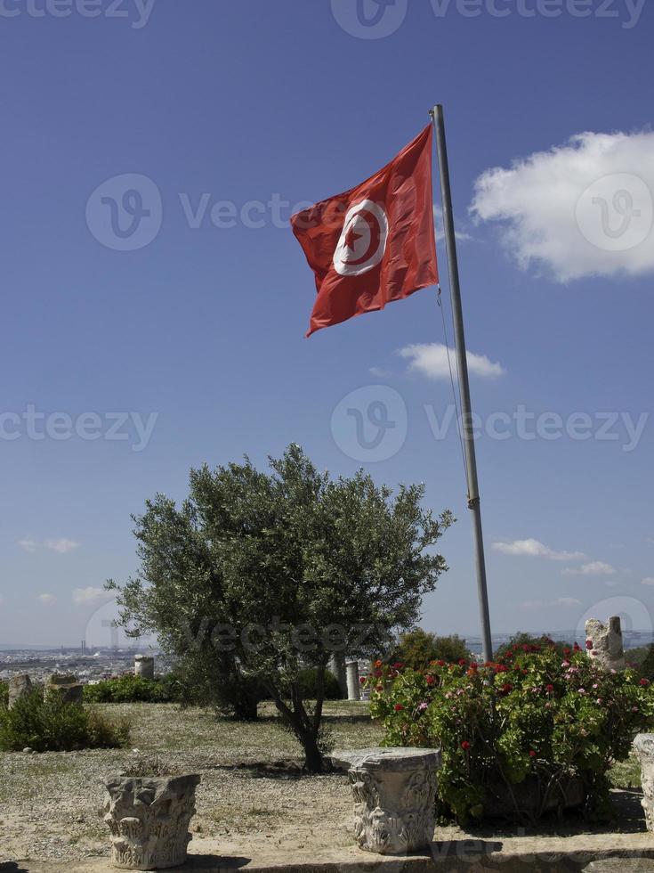 the city of tunis in tunisia photo