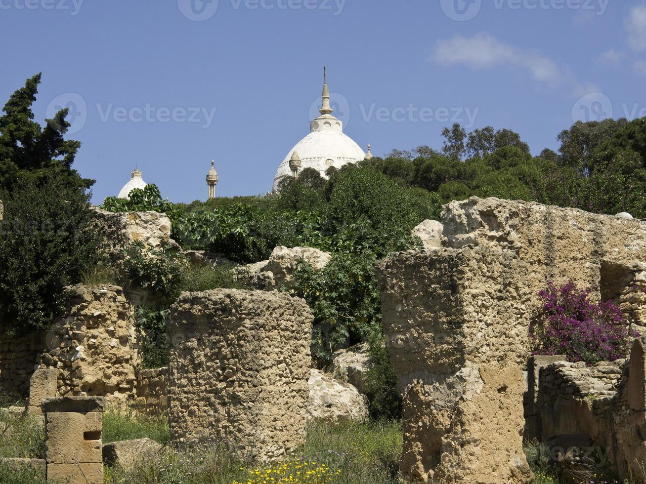 the city of tunis in tunisia photo