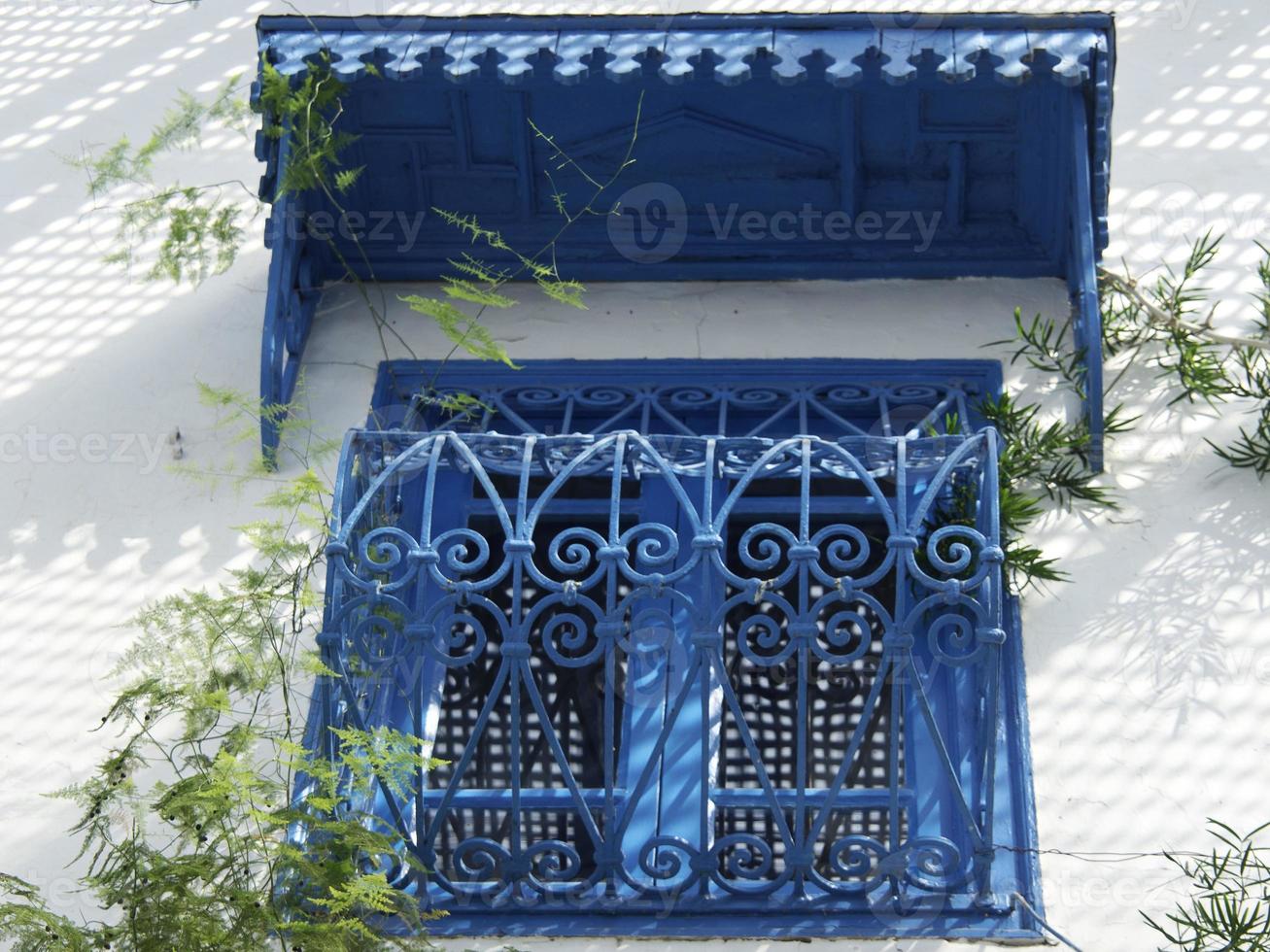 the city of tunis in tunisia photo