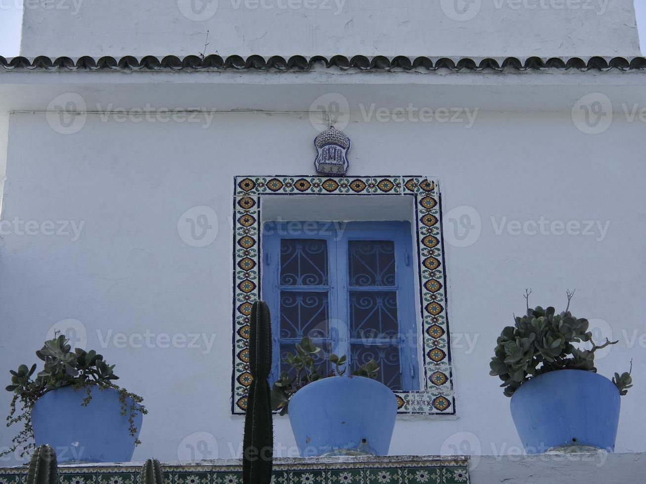 the city of tunis in tunisia photo
