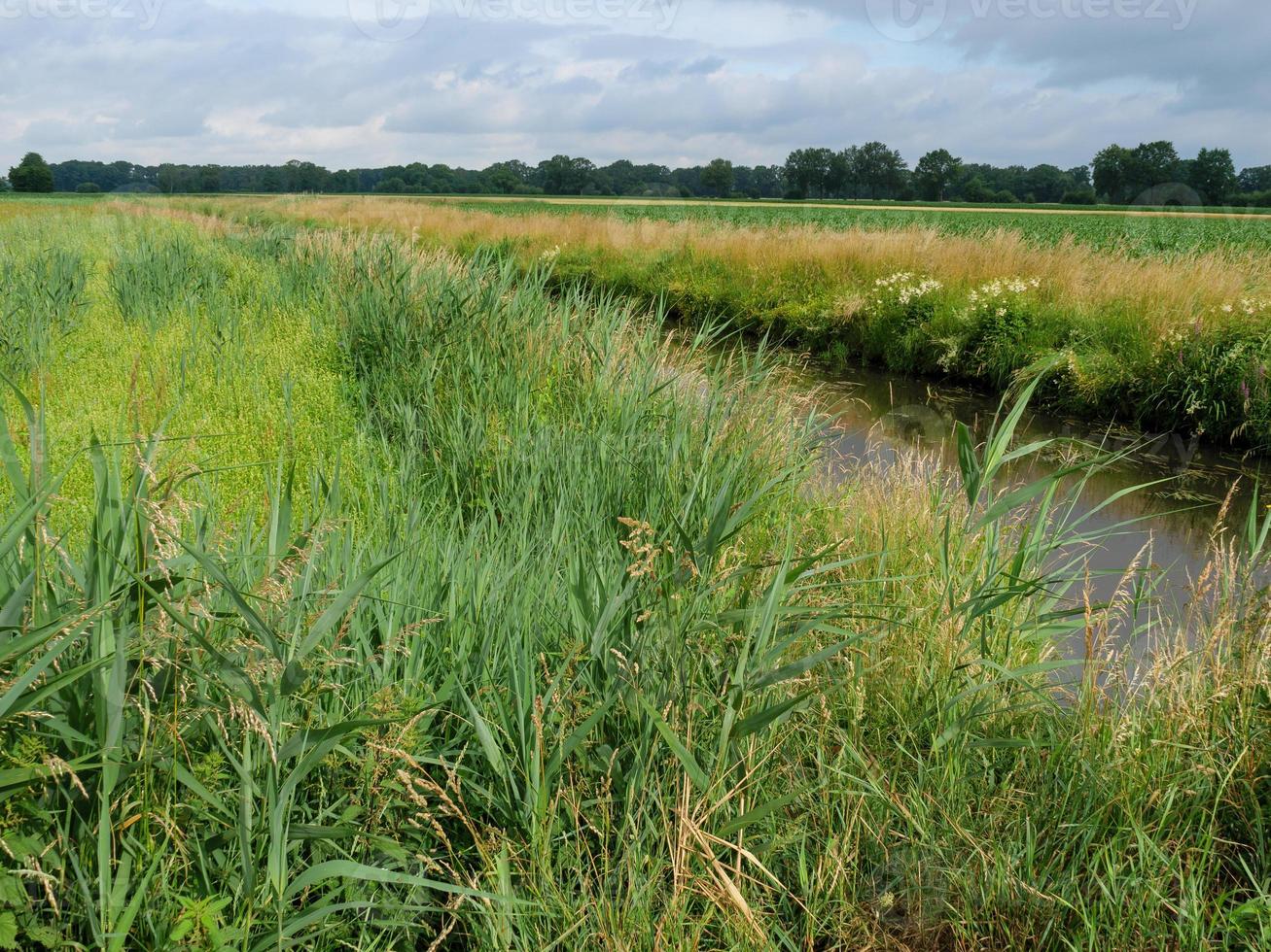 small creek in westphalia photo