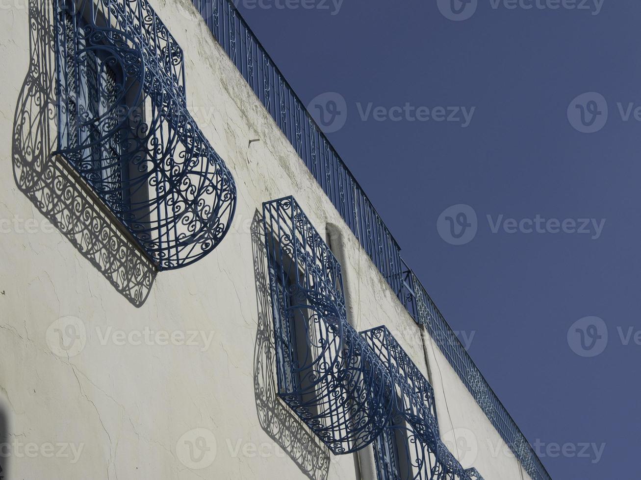 the city of tunis in tunisia photo