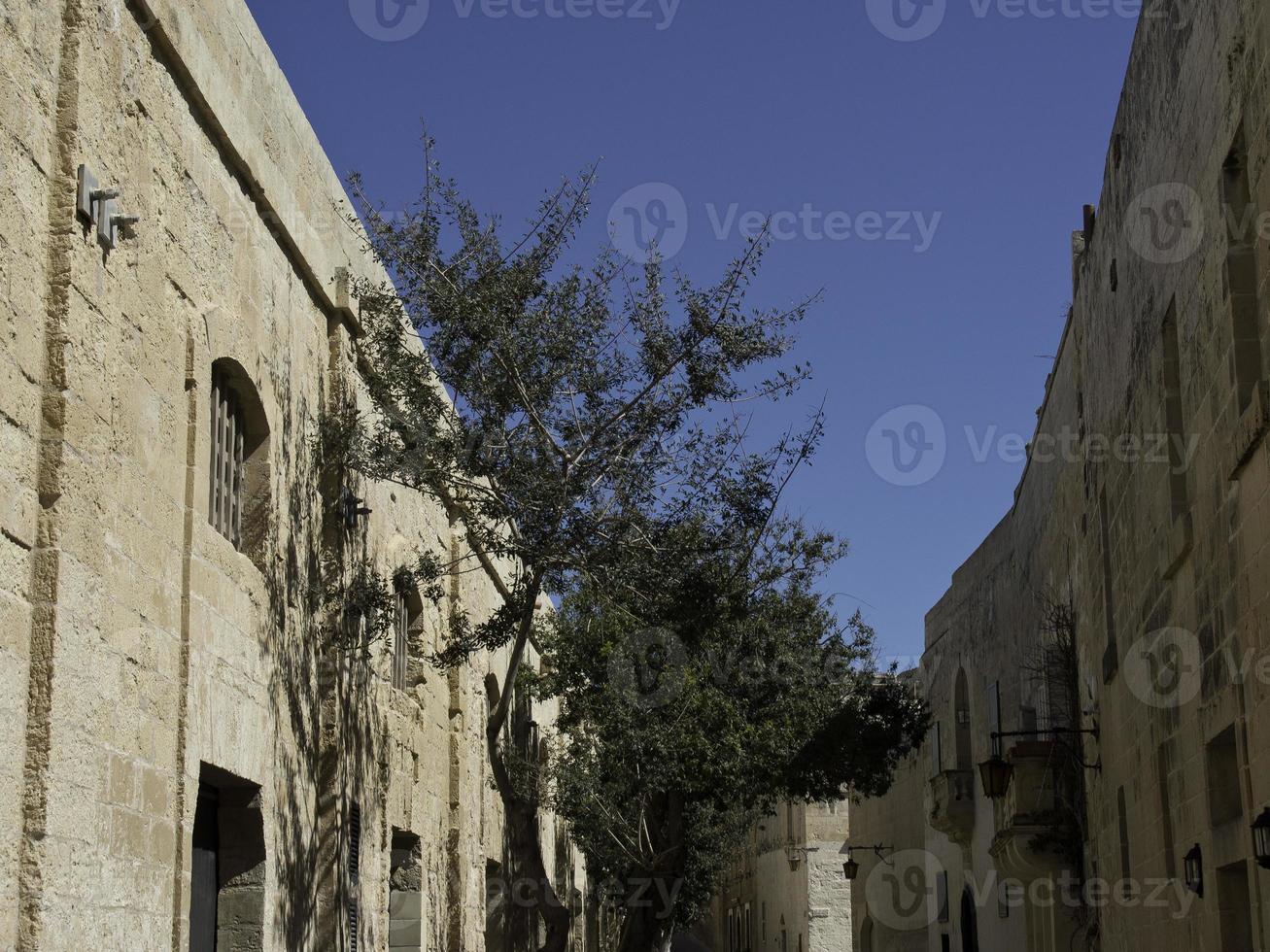 mdina city on malta photo